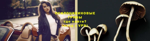 apvp Абдулино